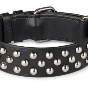 černý obojek pro psa s cvoky