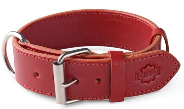 červený kožený obojek pro psa