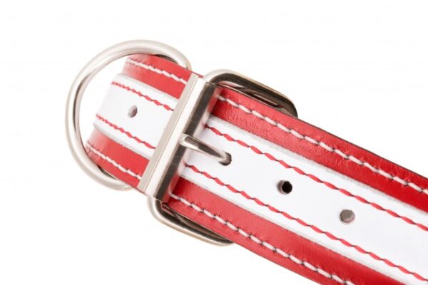 Kožený psí obojek Duo Biaroso - cff853a74fdf4cfc5090b2301