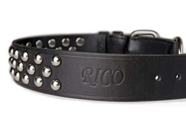 Černý obojek s cvoky - d3cc79fdd81307d0f24eafdc6 Černý obojek s cvoky - d3cc79fdd81307d0f24eafdc6