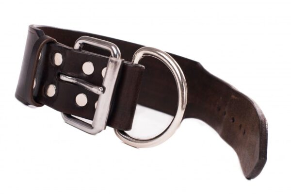 Kožený obojek pro velké psy a obří plemena mahagon - d4177fce86733f74808ca90ce