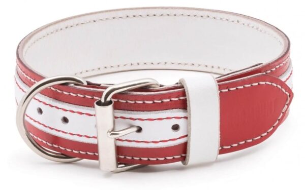 červeno bílý kožený obojek