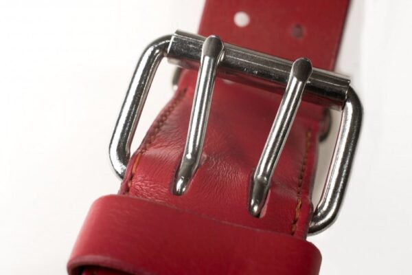 Široký jahodově červený obojek - e02456f11aee1ae6a6dafc134