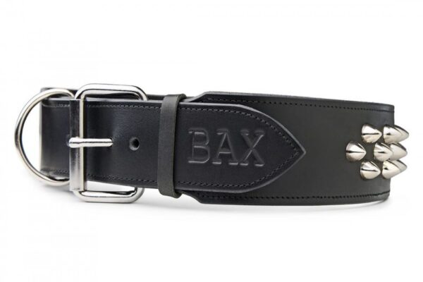 Ostnatý obojek - e0e0ab6c65ba1350f412e653d