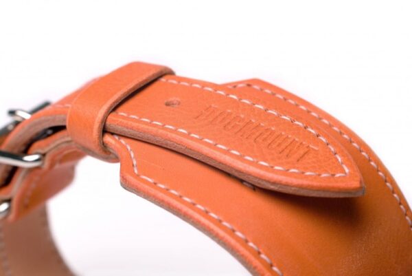 Široký obojek oranžový - e951be4a69d31d8ea01364e33