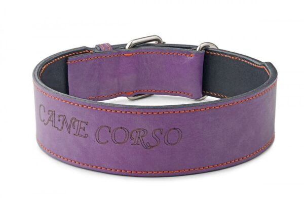 Široký obojek fialový - eab9642def9eb37f4b3e2796f