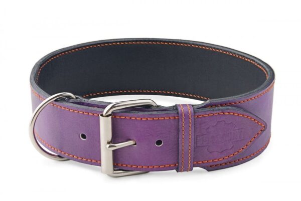 Široký obojek fialový - ee7207ea6191a60598c614c30