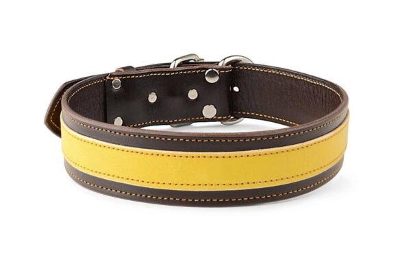 Obojek kožený hnědožlutý - f0c22a67b0f58219107389840 Obojek kožený hnědožlutý - f0c22a67b0f58219107389840