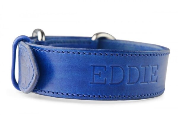 Obojek pro psa oceánová modrá - fabf6de238eaf0b91ce7d1311