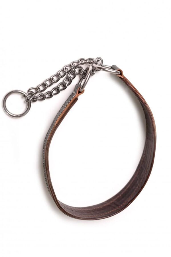 Polostahovací martingale obojek pro psa - fb26933de397ff238669374e6