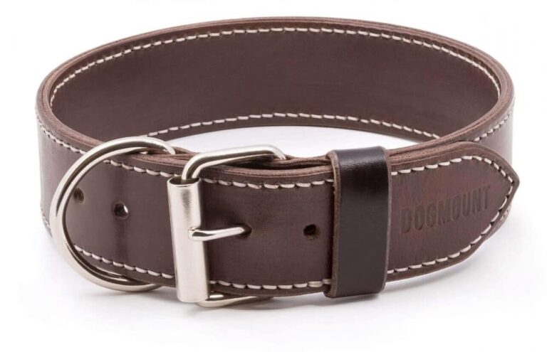 hnědý obojek pro psa