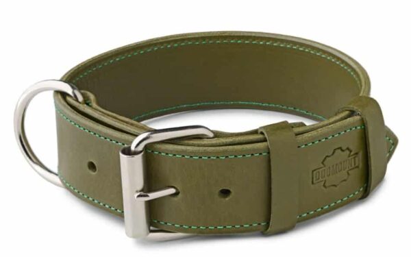 khaki obojek pro psa, vojenská zelená