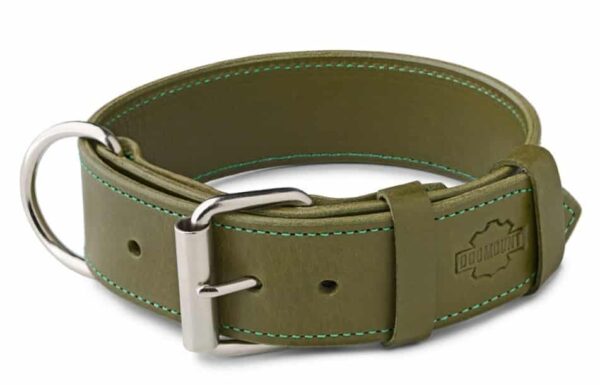 khaki obojek pro psa, vojenská zelená