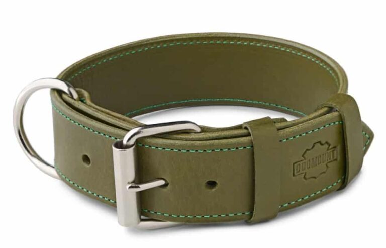 khaki obojek pro psa, vojenská zelená