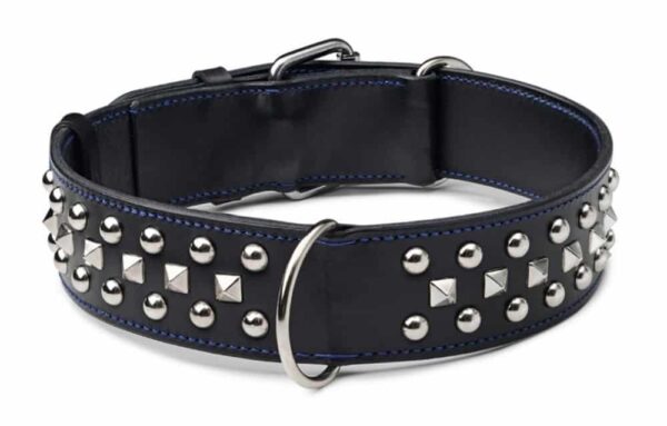 luxusní zdobený obojek pro psa