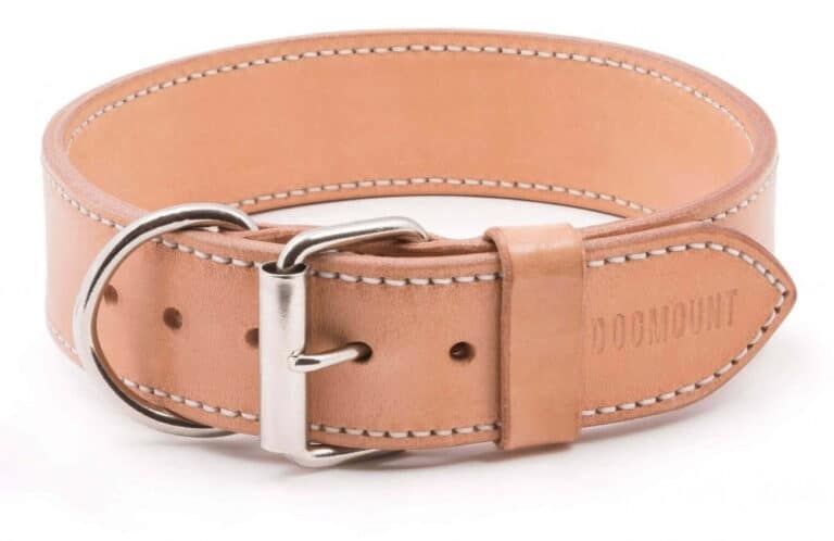 obojek pro psa z přírodní kůže