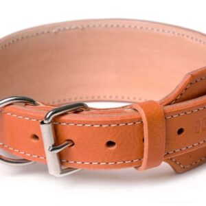 oranžový kožený obojek pro psa
