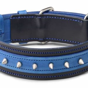 Ostnatý obojek pro psa