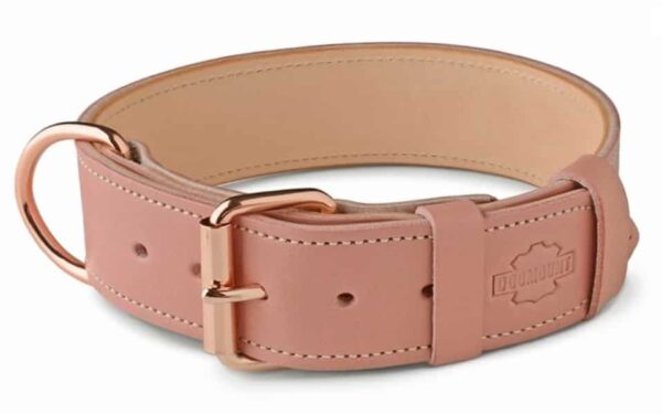 růžový kožený obojek pro psa