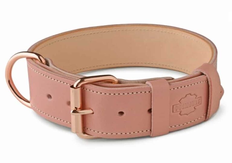 růžový kožený obojek pro psa