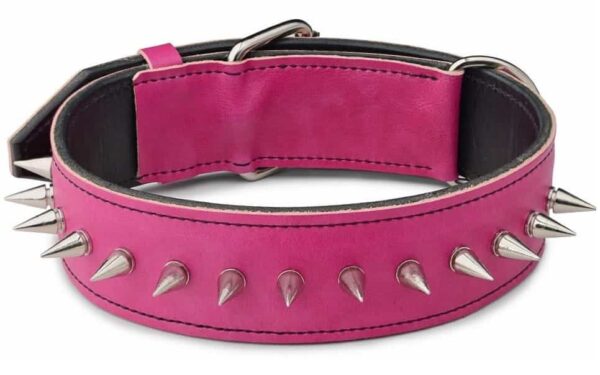 růžový ostnatý obojek pro psa