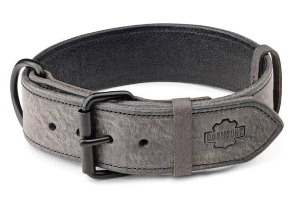 šedý obojek pro psa