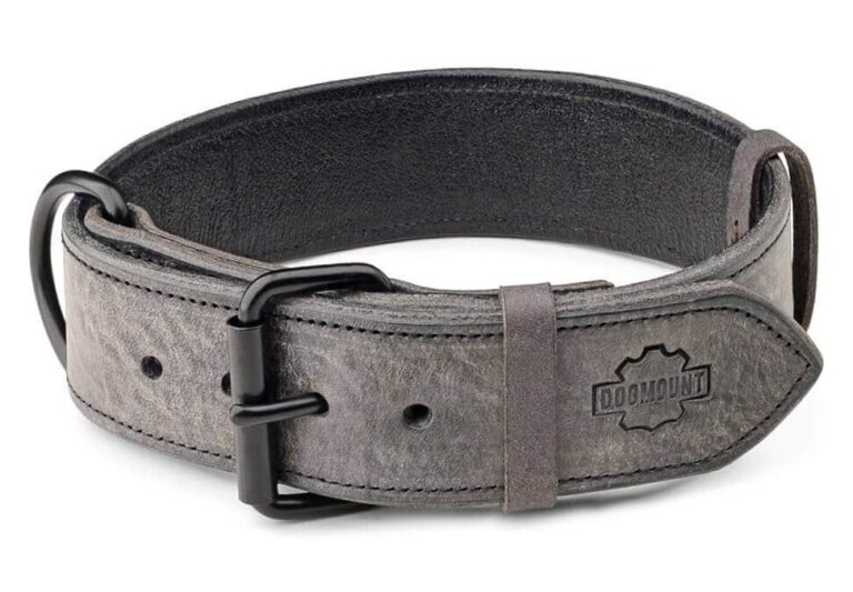 šedý obojek pro psa