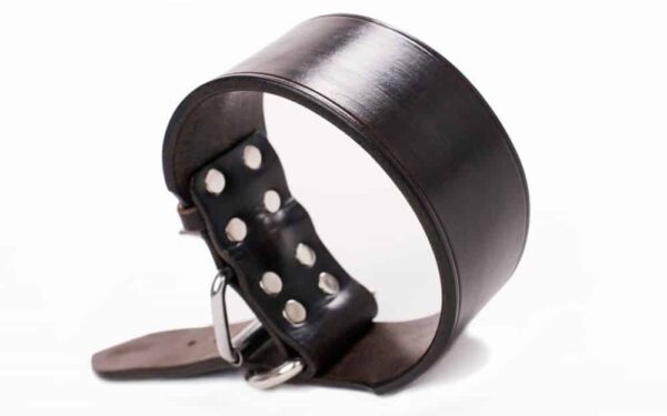 silný kožený obojek pro velké psy