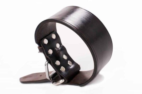 silný kožený obojek pro velké psy