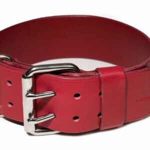 široký kožený obojek pro psa