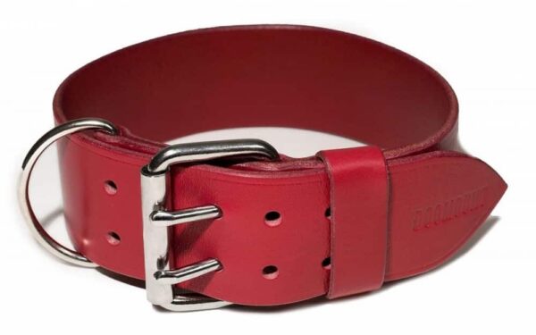 široký kožený obojek pro psa