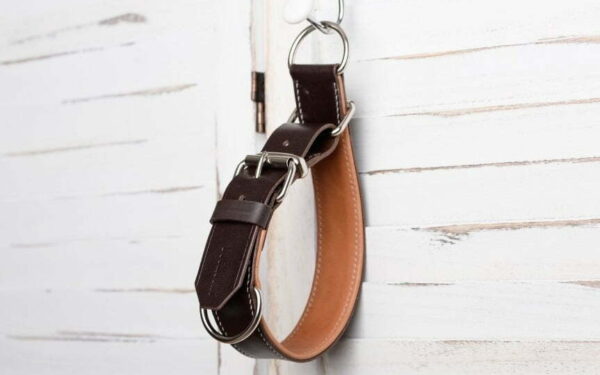 stahovací kožený obojek pro psa