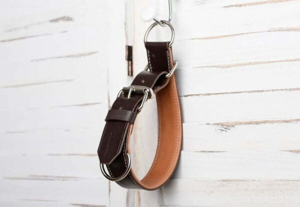 stahovací kožený obojek pro psa