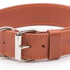 světle hnědý obojek pro psa