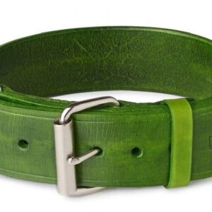 zelený obojek pro psa