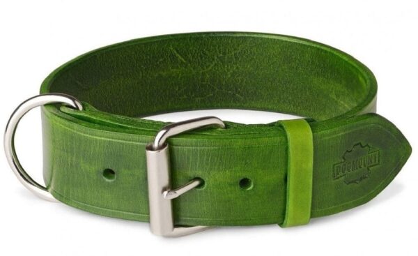 zelený obojek pro psa