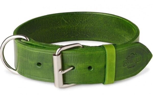 zelený obojek pro psa