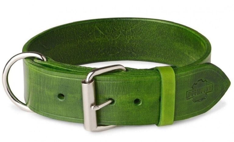 zelený obojek pro psa