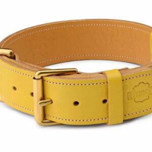 žlutý obojek pro psa