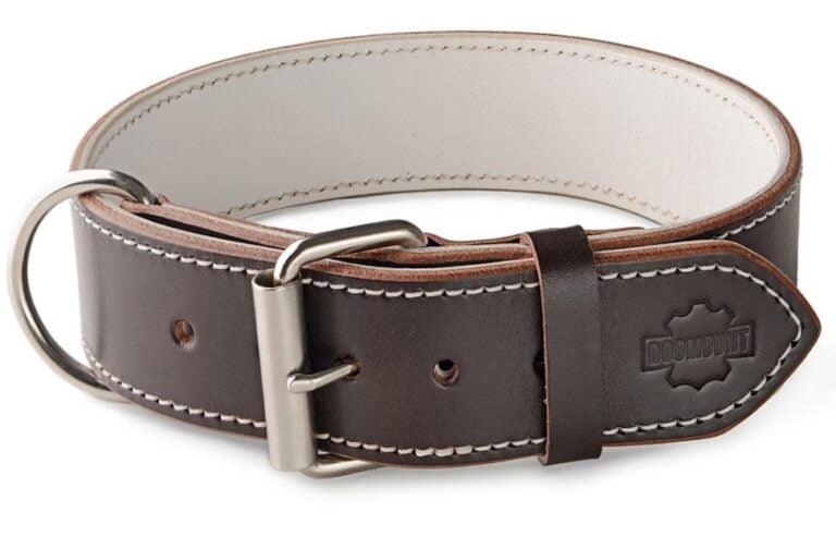 Obojek hnědý & bílý