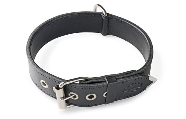 Psí obojek černý - 22c8d80f6b3ee3daa9612008a