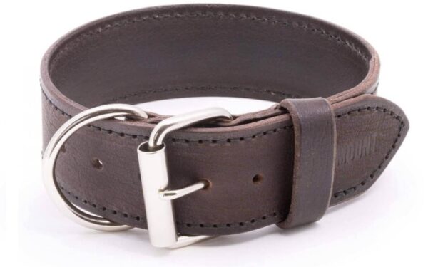 Kožený obojek pro psy Extra Legoso 1