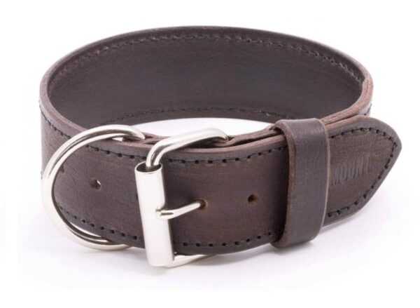 Kožený obojek pro psy Extra Legoso 1