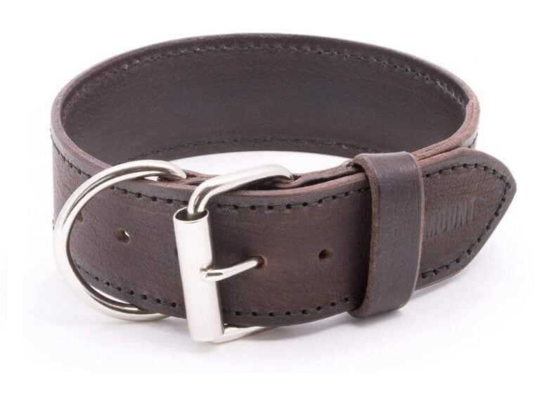 Kožený obojek pro psy Extra Legoso 1