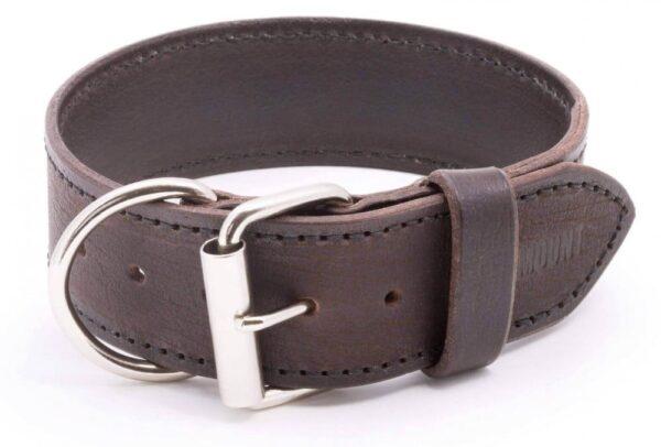 Kožený obojek pro psy Extra Legoso