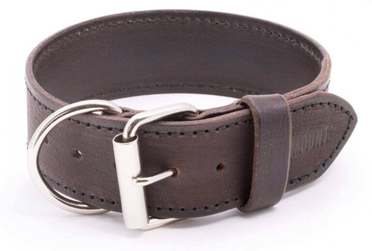 Kožený obojek pro psy Extra Legoso