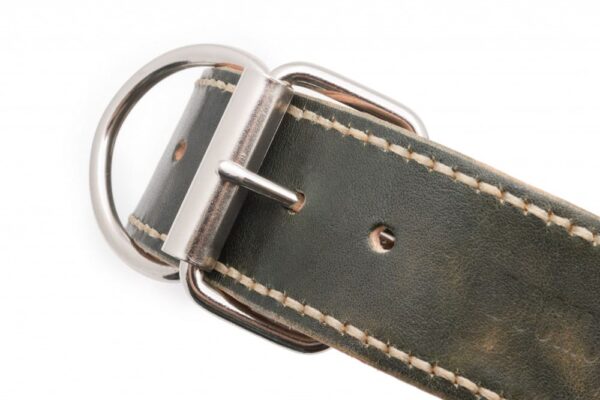 Luxusní kožený obojek zelený Caciato - 2eac0d5b825be5f554f8a2ecc