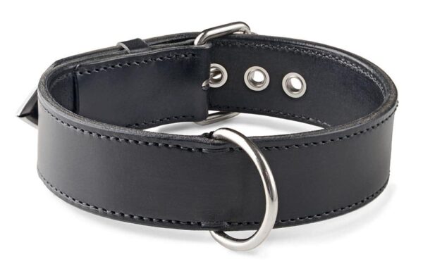 Psí obojek černý - 4d5f627b04eba1ec52cf91715