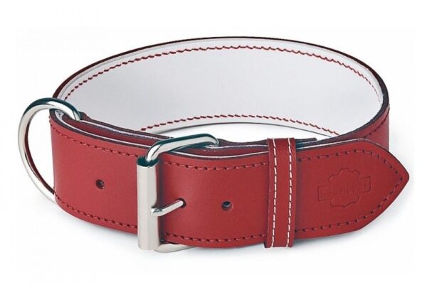 ♥️ Obojek pro Ellie ♥️ - 50cf8e25cb5b4cd55f9f0d1e9