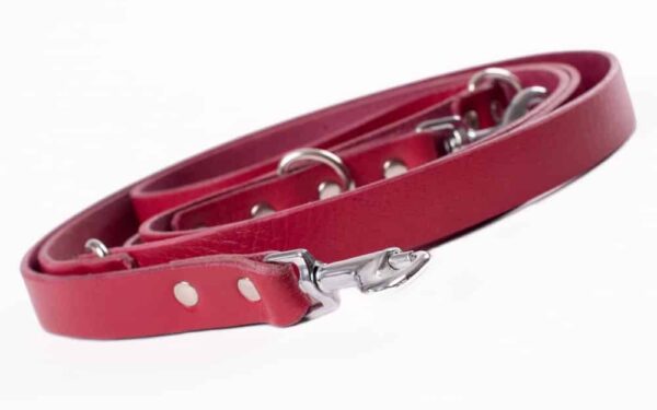 Kožené přepínací vodítko bordó